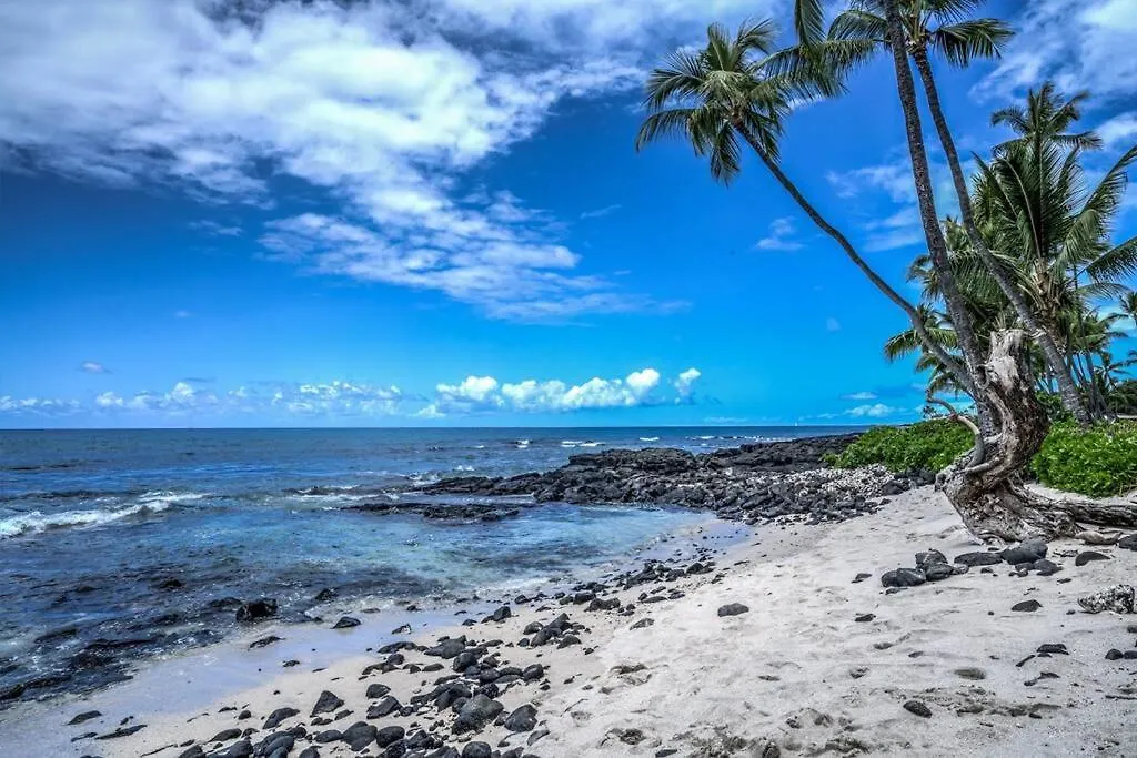 Apartment Newly Upgraded 1Br Unit Near Beach Max Of 5 Guests Kailua-Kona United States